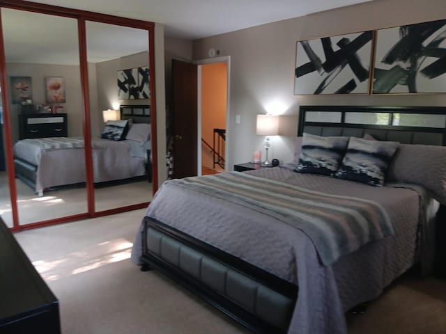 853 Greenbriar Ln, University Park, IL 60484 - bedroom featuring light colored carpet and a closet