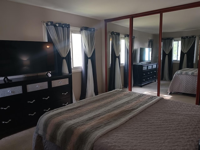 853 Greenbriar Ln, University Park, IL 60484 - view of carpeted bedroom