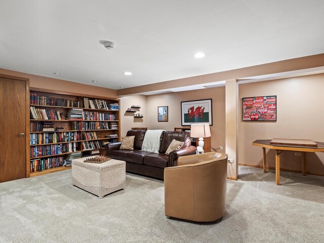 23W505 Green Trails Dr, Naperville, IL 60540 - photo 19
