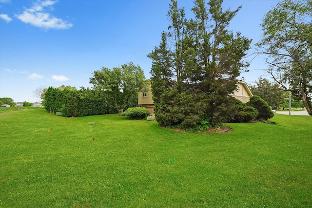 9242 Pembrooke Ln, Orland Park, IL 60462 - view of grassy yard