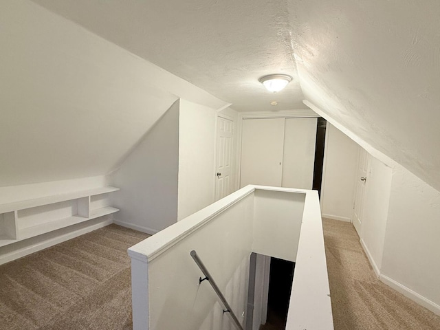 1318 Pine Grove Ave, Round Lake Beach, IL 60073 - additional living space with light colored carpet, a textured ceiling, and vaulted ceiling