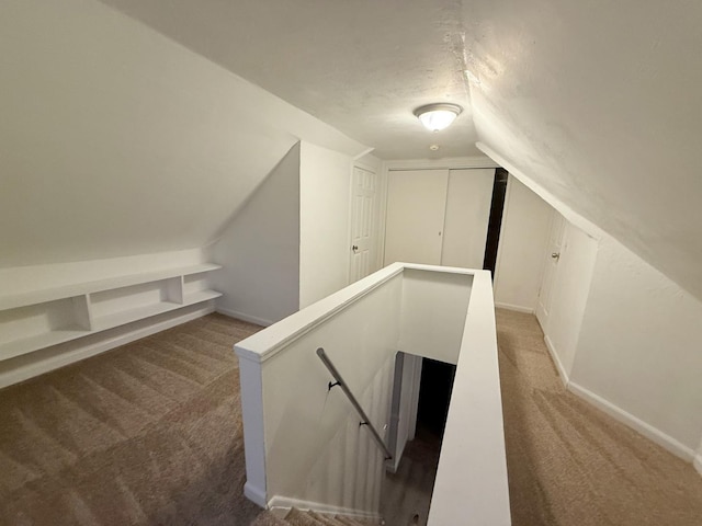 1318 Pine Grove Ave, Round Lake Beach, IL 60073 - additional living space with carpet floors, lofted ceiling, and a textured ceiling