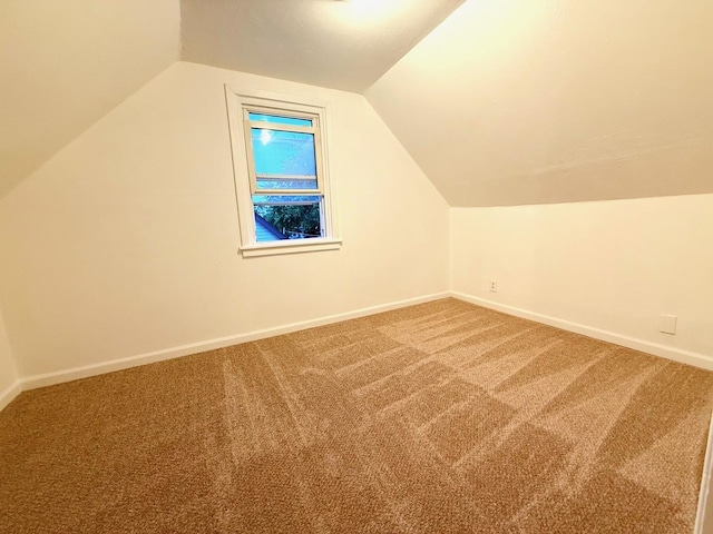 1318 Pine Grove Ave, Round Lake Beach, IL 60073 - additional living space with carpet floors and lofted ceiling
