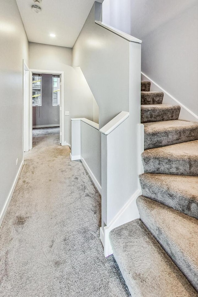 1223 W Cottage Pl, Chicago, IL 60607 - stairway with carpet floors and baseboards