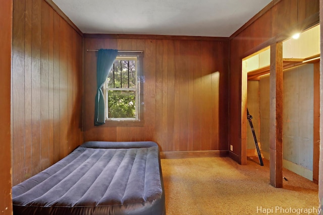 35835 N Ash St, Ingleside, IL 60041 - bedroom with wood walls