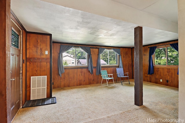35835 N Ash St, Ingleside, IL 60041 - unfurnished room with carpet and wood walls