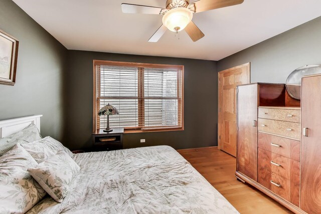 3245 S Aberdeen St, Chicago, IL 60608 - photo 21