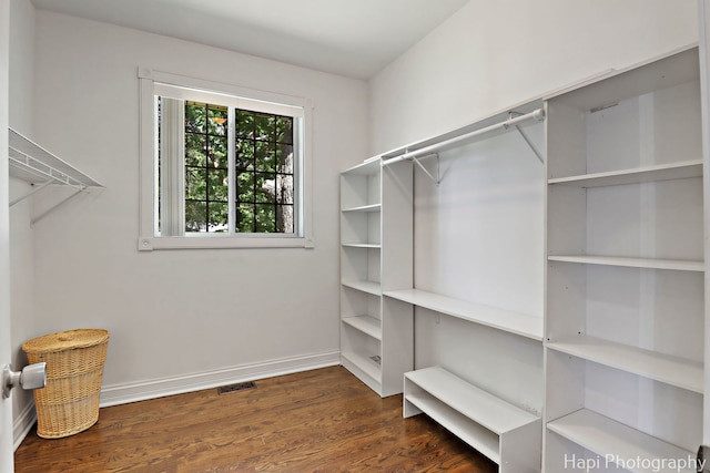 1340 Park Ave, Winthrop Harbor, IL 60096 - walk in closet with dark wood-style flooring