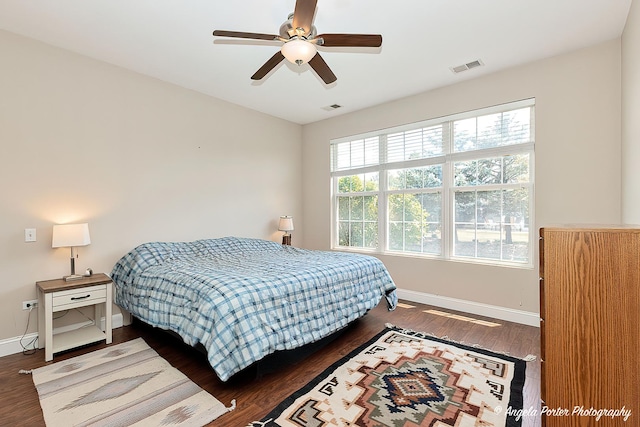 13399 Glenwood Dr, Huntley, IL 60142 - bedroom with wood finished floors and a ceiling fan