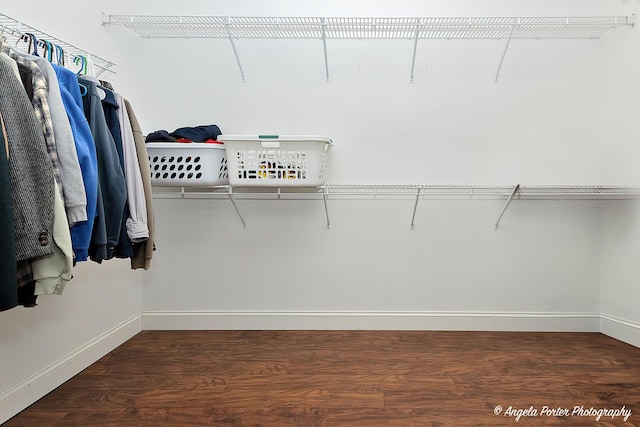 13399 Glenwood Dr, Huntley, IL 60142 - spacious closet featuring wood finished floors