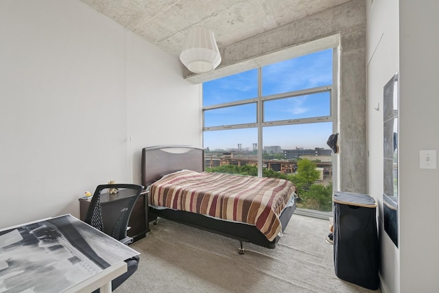 1620 S Michigan Ave Unit 601, Chicago, IL 60616 - carpeted bedroom with a view of city