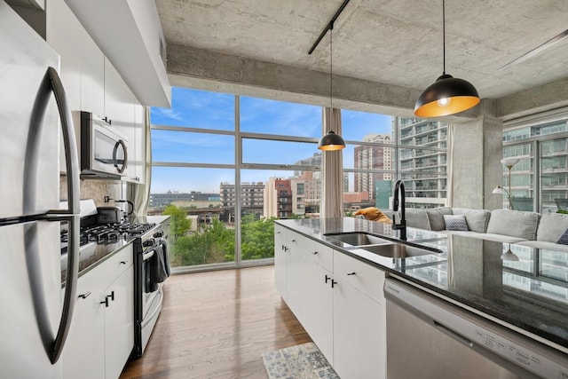 1620 S Michigan Ave Unit 601, Chicago, IL 60616 - kitchen featuring appliances with stainless steel finishes, a city view, floor to ceiling windows, wood finished floors, and healthy amount of natural light