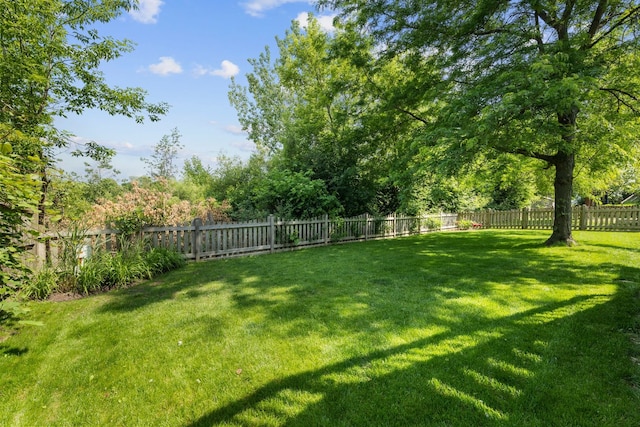 1361 Amherst Ct, Grayslake, IL 60030 - view of fenced backyard