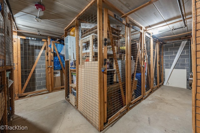 1056 N Mill St Unit 305, Naperville, IL 60563 - view of storage