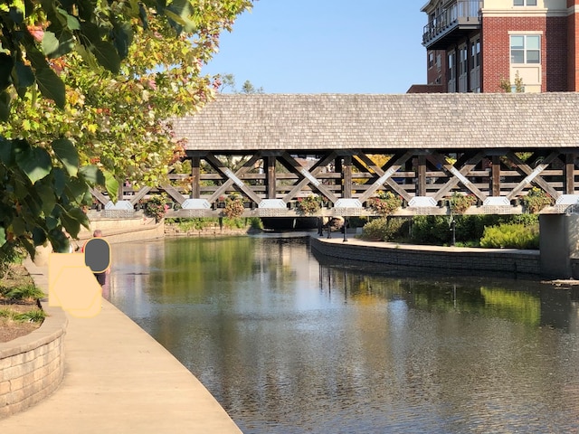 1056 N Mill St Unit 305, Naperville, IL 60563 - water view
