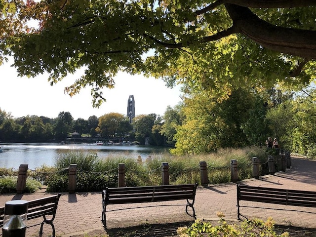 1056 N Mill St Unit 305, Naperville, IL 60563 - surrounding community featuring a water view