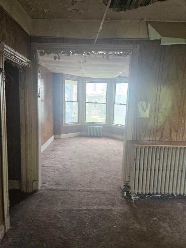 605 E 92nd Pl, Chicago, IL 60619 - hall featuring carpet floors and radiator