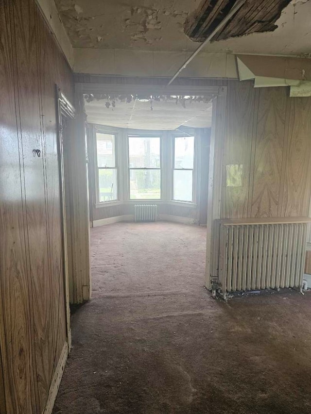 605 E 92nd Pl, Chicago, IL 60619 - corridor featuring radiator and carpet flooring