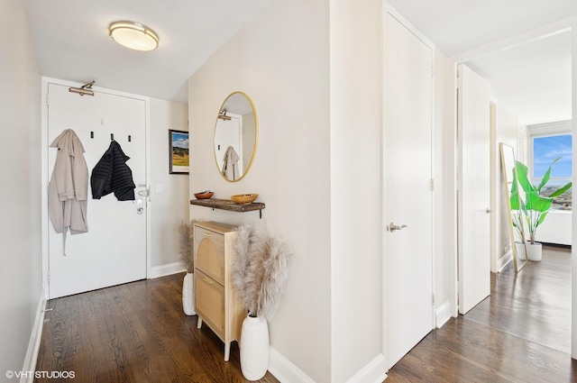 2626 N Lakeview Ave Unit 2012, Chicago, IL 60614 - corridor featuring dark wood-style floors