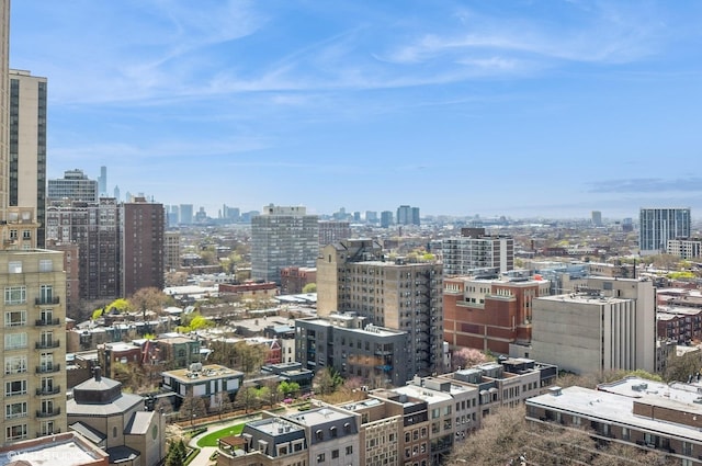 2626 N Lakeview Ave Unit 2012, Chicago, IL 60614 - skyline view