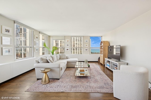 2626 N Lakeview Ave Unit 2012, Chicago, IL 60614 - living area featuring dark wood-style flooring