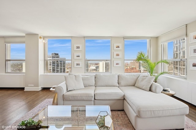 2626 N Lakeview Ave Unit 2012, Chicago, IL 60614 - living room featuring wood finished floors and baseboards