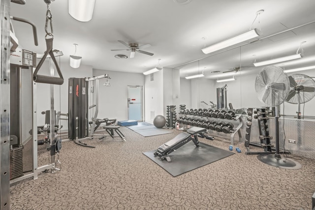 6301 N Sheridan Rd Unit 7N, Chicago, IL 60660 - gym featuring ceiling fan and carpet