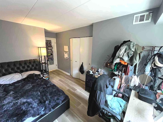 900 S River Rd Unit 3A, Des Plaines, IL 60016 - bedroom with wood finished floors and a closet