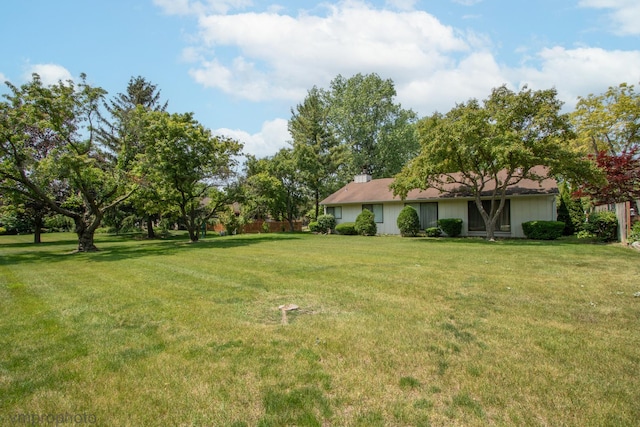 771 E Devon Ave, Roselle, IL 60172 - view of grassy yard