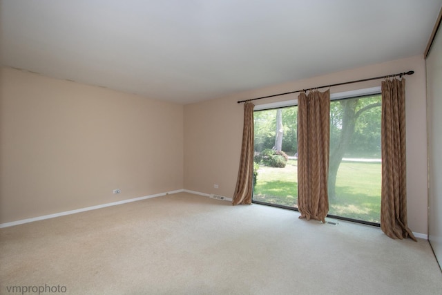 771 E Devon Ave, Roselle, IL 60172 - empty room featuring light colored carpet and baseboards