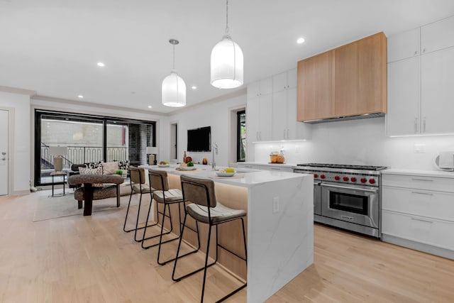 1646 N Orchard St Unit 1S, Chicago, IL 60614 - kitchen with range with two ovens, a kitchen breakfast bar, light countertops, light wood-style floors, and a kitchen island with sink