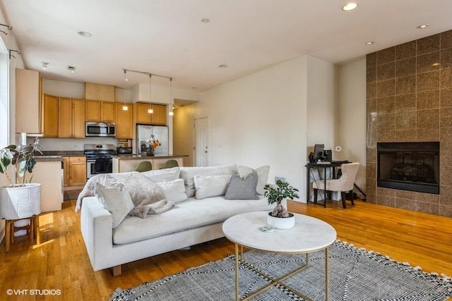 6640 S Maryland Ave Unit 2, Chicago, IL 60637 - living area with light wood-type flooring, a fireplace, and recessed lighting