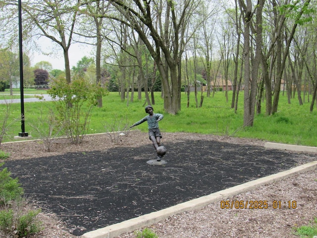16308 S Peerless Ct, Plainfield, IL 60586 - view of property's community featuring a lawn