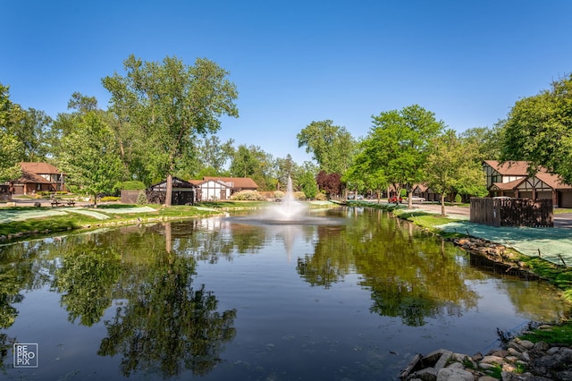 11210 Sycamore Ln Unit 61D, Palos Hills, IL 60465 - water view