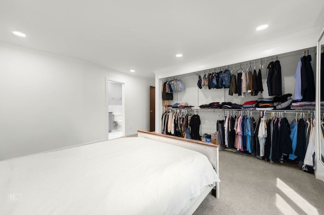 11210 Sycamore Ln Unit 61D, Palos Hills, IL 60465 - carpeted bedroom featuring a closet, recessed lighting, ornamental molding, and ensuite bath