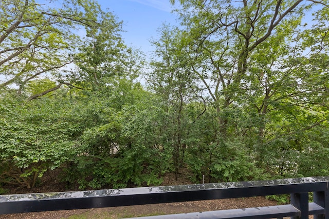 1833 Four Lakes Ave Unit 2A, Lisle, IL 60532 - photo 15