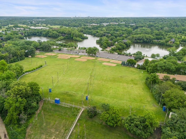 1833 Four Lakes Ave Unit 2A, Lisle, IL 60532 - photo 28