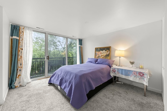 1833 Four Lakes Ave Unit 2A, Lisle, IL 60532 - photo 10