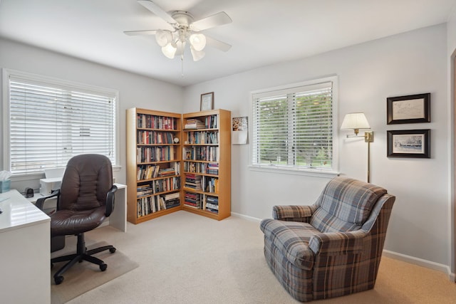 1923 N Carlyle Pl, Arlington Heights, IL 60004 - carpeted office space with ceiling fan and baseboards