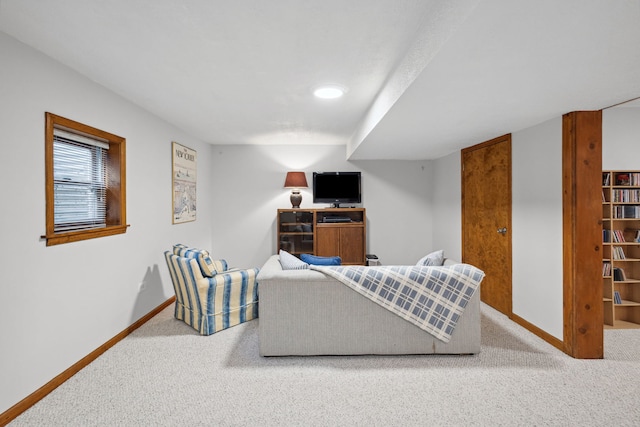 1923 N Carlyle Pl, Arlington Heights, IL 60004 - living area with carpet flooring and baseboards