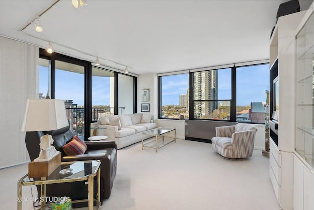 1560 N Sandburg Ter Unit 915, Chicago, IL 60610 - living room with rail lighting and carpet