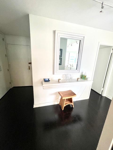2800 N Lake Shore Dr Unit 1417, Chicago, IL 60657 - bathroom featuring rail lighting, wood finished floors, and vanity