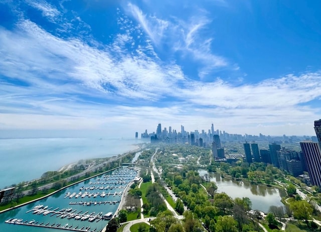 2800 N Lake Shore Dr Unit 1417, Chicago, IL 60657 - bird's eye view of city skyline, a nearby body of water, and a marina