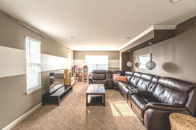 14924 S Case St, Plainfield, IL 60544 - carpeted living room featuring healthy amount of natural light and ornamental molding