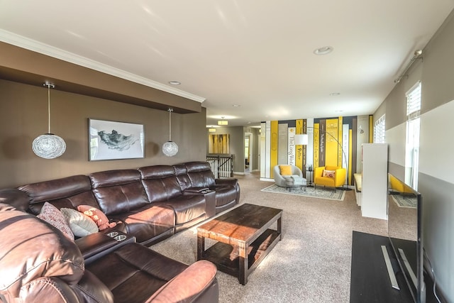 14924 S Case St, Plainfield, IL 60544 - living area with carpet floors and ornamental molding