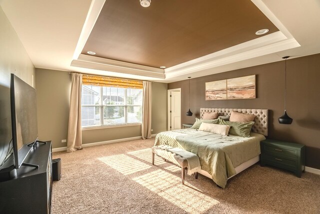 14924 S Case St, Plainfield, IL 60544 - bedroom with a tray ceiling, light colored carpet, and crown molding