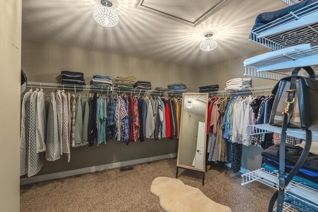 14924 S Case St, Plainfield, IL 60544 - spacious closet with carpet floors