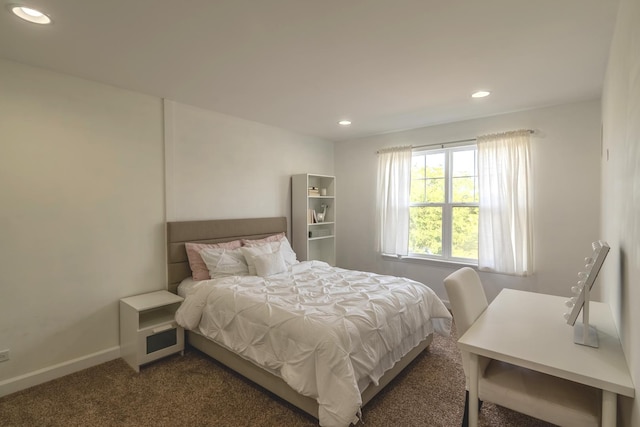 14924 S Case St, Plainfield, IL 60544 - bedroom featuring recessed lighting and dark colored carpet