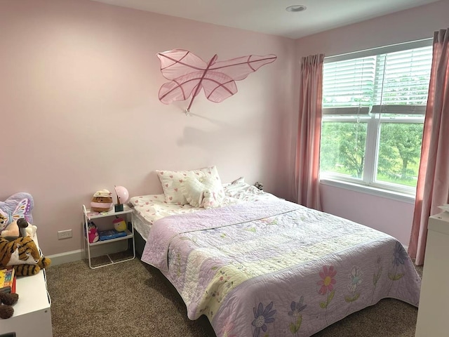 14924 S Case St, Plainfield, IL 60544 - carpeted bedroom featuring baseboards