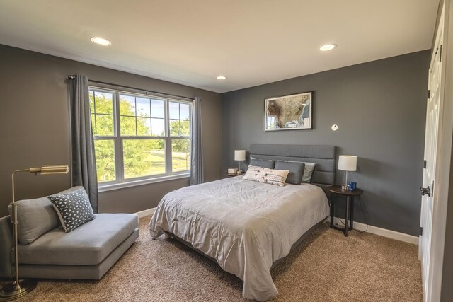 14924 S Case St, Plainfield, IL 60544 - carpeted bedroom featuring recessed lighting